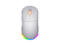 produse-fresh-mouse-uri-trackballuri-small-8