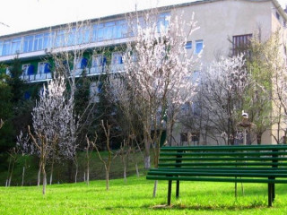 Oferta Sanatoriul 'BUCURIA-SIND' Vadul lui Vodă  Tratamente Balneare și Recuperare în Natură